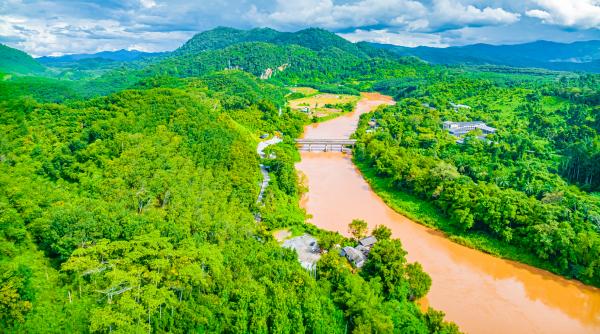 in 2003 china a plantat mici insule de copaci langa un rau degradat dupa 20 de ani refacerea padurii tropicale e surprinzatoare