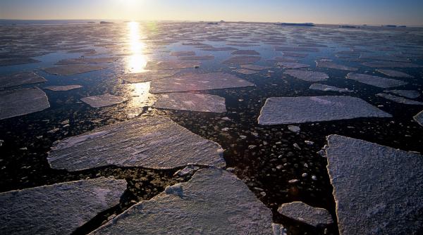 marile lumii sunt mai fierbinti ca niciodata efectele incalzirii globale sunt in lant valuri de caldura seceta si incendii