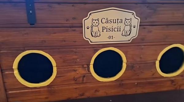 primaria arad ofera asociatiilor de proprietari casute pentru pisicile fara stapani care este singura conditie ce trebuie indeplinita