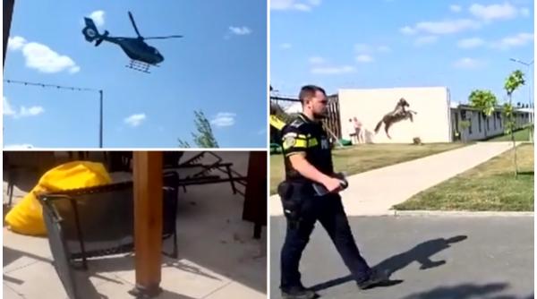 scandal si ancheta la constanta dupa ce un om de afaceri si a trimis elicopterul sa i ia fiica de la un centru de echitatie