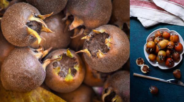 fructul antic de care multi europeni au uitat pomii de mosmoane sunt readusi la viata alimentul sanatos disparuse din farfurii
