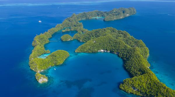 in 2024 palau a eliminat sobolanii de pe insula ulong in doar un an biomasa pestilor a crescut cu 183 iar azotul din frunze cu 80