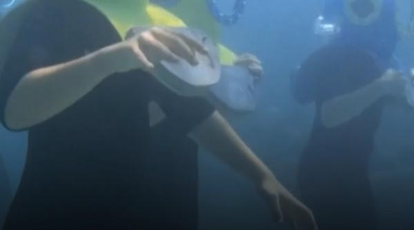 Turiștii din Croația se refugiază sub apă pentru a scăpa de canicula verii