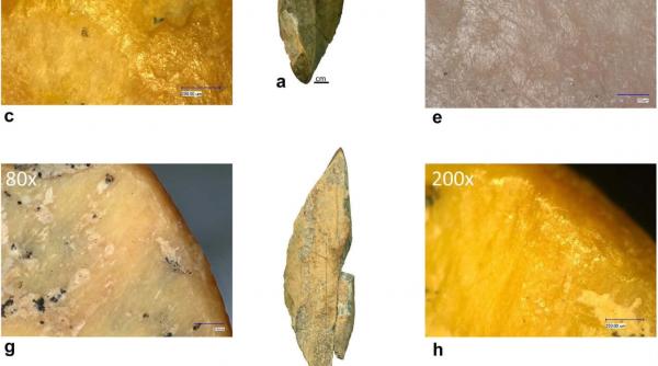 descoperire uimitoare intr o pestera din romania primele dovezi ca omul de neanderthal din aceste tinuturi folosea unelte din os
