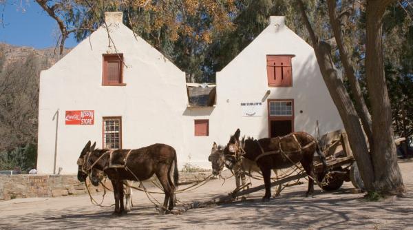 in 1830 doi germani au fondat un mic oras in africa de sud care avea sa devina locul de nastere al celebrelor incaltari veldskoen