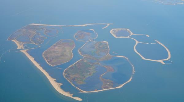olanda a folosit 37 000 000 de tone de sedimente dintr un lac pentru a construi insule habitatele artificiale atrag acum mii de pasari
