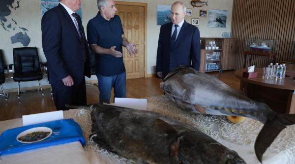 scandal intre japonia si rusia dupa ce vladimir putin a facut prima sa vizita in insulele kurile chishima revendicate de japonezi