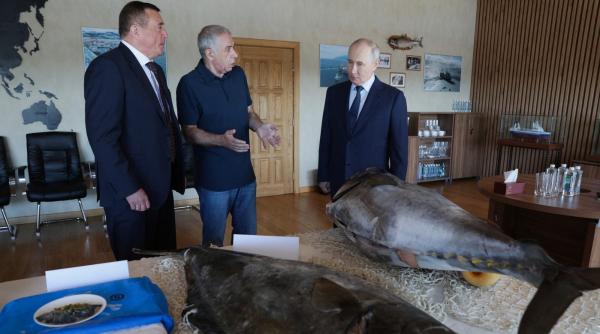 scandal intre japonia si rusia dupa ce vladimir putin a facut prima sa vizita in insulele kurile chishima revendicate de japonezi