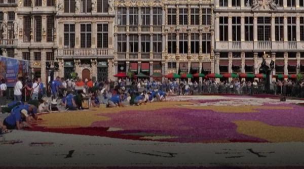 Spectacol de culoare în Bruxelles: un covor floral realizat din jumătate de milion de flori acoperă Piața Grand Place