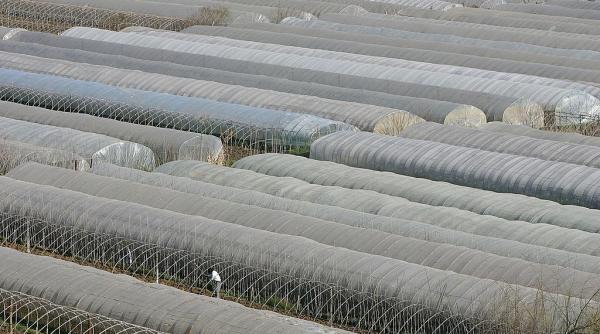 marea de plastic din china cum s au transformat sute de mii de kilometri patrati de teren agricol in cel mai mare palc de sere