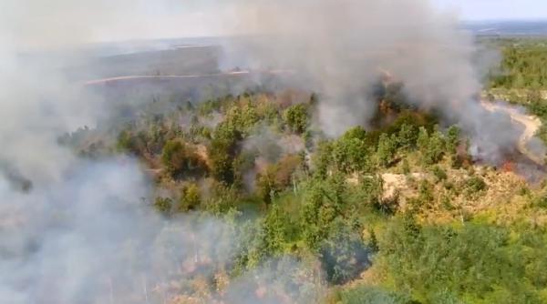 incendii de vegetatie in mai multe localitati din timis 50 de pompieri incearca sa stinga flacarile