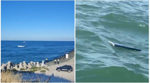 obiecte suspecte in portul tomis din constanta si la eforie nord la 1 5 km de tarm ar fi o drona navala autoritatile intervin