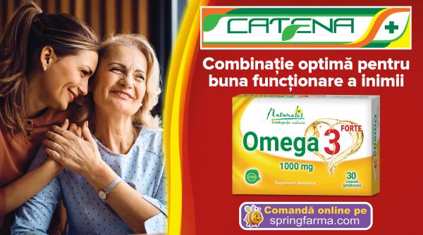 cat omega 3 primesti din alimentatie cum iti poti asigura un aport adecvat in zilele aglomerate