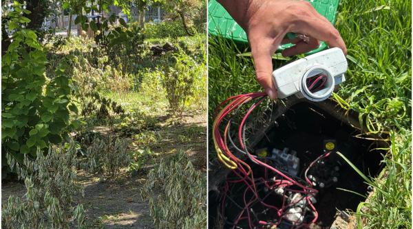 furt absurd in centrul capitalei hotii au lasat fara apa plantele de la sala palatului ciucu atat s a putut