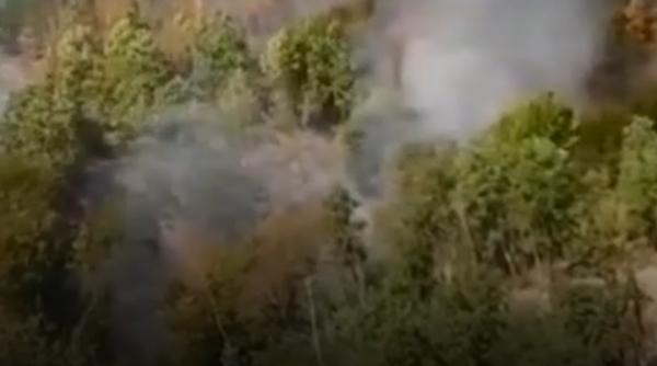 Incendii de vegetație în mai multe localități din Timiș: 80 de hectare de vegetație s-au făcut scrum