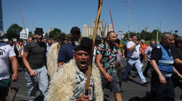 romania isi pierde animalele intr un ritm alarmant crescatorii de oi spun ca se afla intr o situatie disperata
