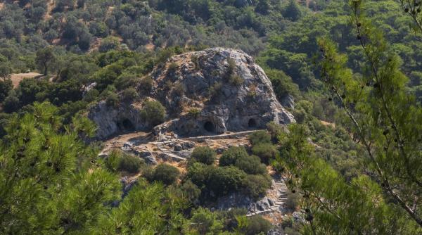 un maslin din portugalia are peste 3 700 de ani si inca produce masline cercetatorii au descoperit secretul longevitatii