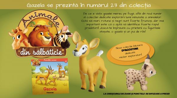gazela este protagonista numarului 23 al colectiei animale din salbaticie la chioscuri din 18 august