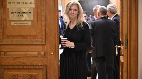 alina gorghiu sustine ca nicusor dan ar putea fi suspendat daca nu promulga legea ani fritz il impinge intr o capcana