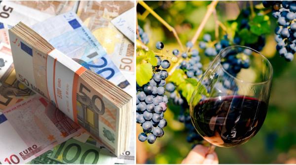 comuna cotesti a semnat contractul pentru promovarea vinurilor reprezentative ale vrancei