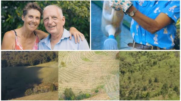 in 2020 doi soti au cumparat o ferma de vaci in australia de atunci au plantat 34 000 de copaci si refac padurea pentru ursii koala