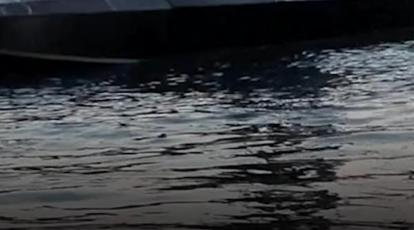 Dronă navală de atac a Rusiei, la câteva sute de metri de Neptun Deep. A fost distrusă cu tunul de bord de un F-16 românesc