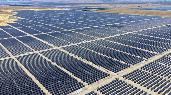 studiu extinderea suprafetei pentru panouri solare afecteaza pasarile o dilema ecologica majora