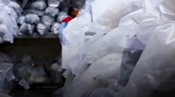 Peste 9,3 tone de droguri, confiscate de autoritățile din Peru, au fost distruse prin incinerare