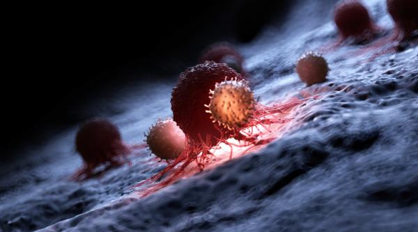 supercentenarii au un sistem imunitar extrem de vigilent care poate combate cancerul potrivit unui nou studiu