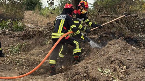 serbia multumeste romaniei pentru interventia pompierilor in incendiile de vegetatie serbia nu va uita acest lucru
