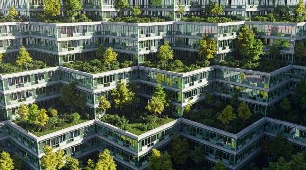 Acoperișurile verzi devin obligatorii pe clădirile mari din orașe, din 2027. Reguli noi și pentru parcări, în noul Cod al Urbanismului