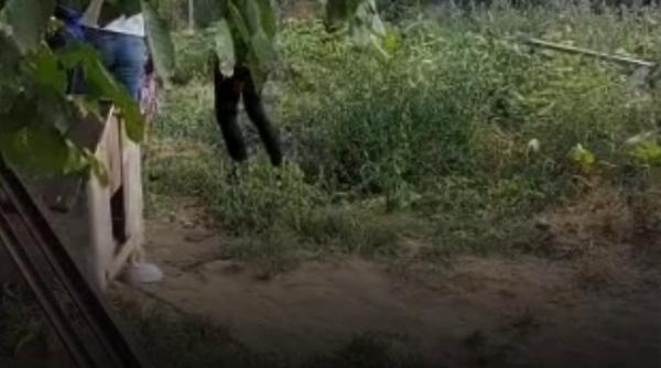 O dronă s-a prăbușit într-un nuc dintr-o curte în comuna Garoafa din Vrancea. MApN o caută în Galați de la ora 6 dimineața