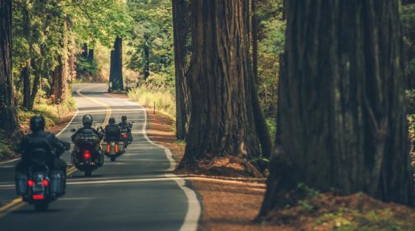 Oraș, touring sau off-road: care este impactul asupra uleiului moto?