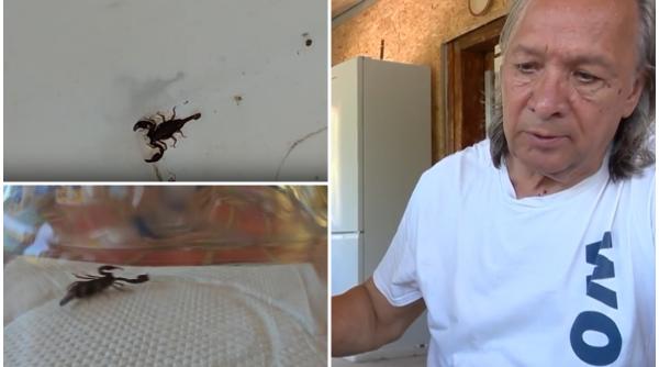 un barbat din buzau a gasit scorpioni in casa si nu stie cum sa scape de ei nu mai putem sta in casa de frica