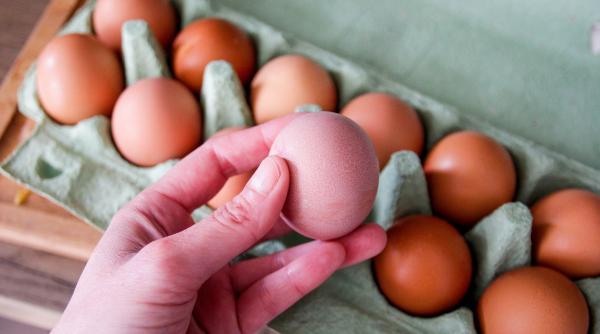 peste 300 de infectari cu salmonella in belgia ouale contaminate ar fi ajuns si in franta italia si portugalia
