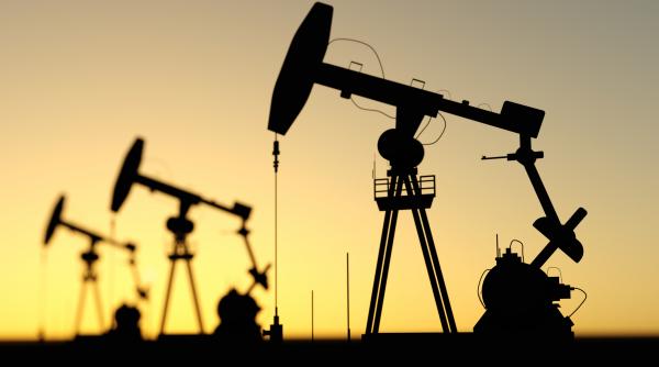 pretul petrolului a scazut luni desi sua au anuntat un plan global pentru izolarea financiara a iranului ziua z economica