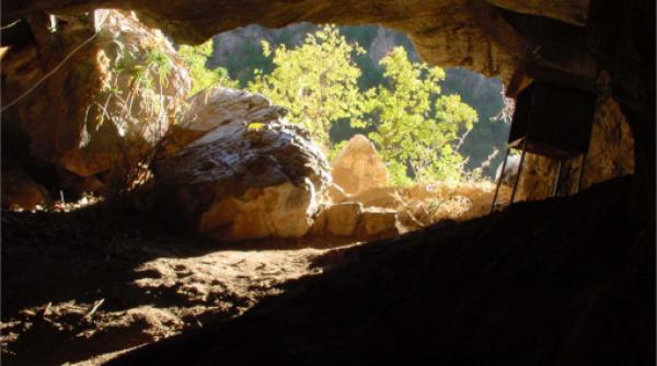 Un urs a coborât într-un puț vertical de 60 de metri într-o peșteră din Grecia. Se pare că a și urcat înapoi. Ce au găsit cercetătorii