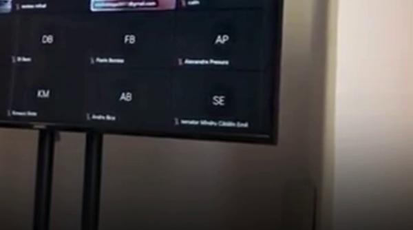 Vasile Blaga, la bustul gol în ședința Comisiei pentru administrație publică. A intrat online de pe plajă