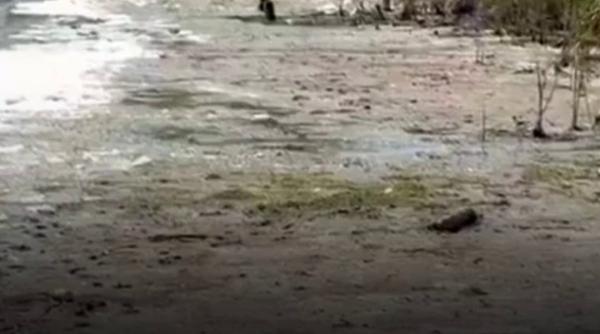 Imagini dezolante cu lacul Techirghiol care a secat din cauza căldurii extreme. Ce spun medicii despre nămolul terapeutic