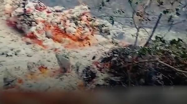 Incendiu de pădure lângă Plauru, în Tulcea: localnicii spun că focul ar fi pornit după explozia unei drone