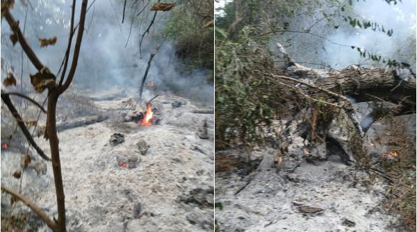 incendiu masiv in tulcea la plauru romsilva localnicii spun ca ar fi fost provocat de o drona