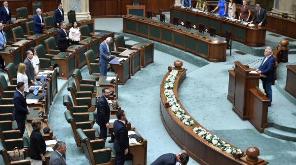 Senatul a modificat Codul administrativ pentru eliminarea incompatibilităților la aleșii locali. USR vrea să atace legea la CCR