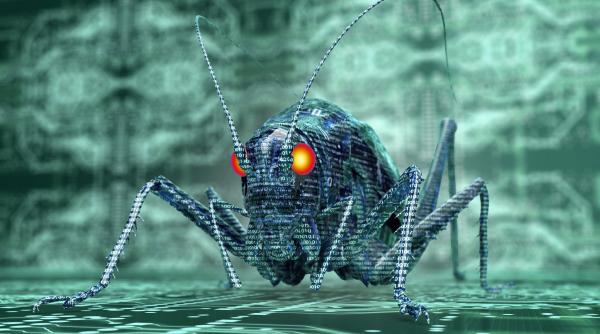 Gândaci-cyborg cu seringi în spate: cum vor cercetătorii australieni să ajungă la victimele prinse sub dărâmături