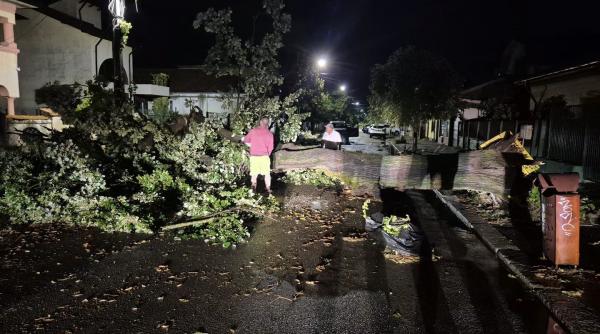 Furtunile au făcut prăpăd în sudul României. Trombă marină la Constanța. Copaci smulși și străzi blocate în Oltenița