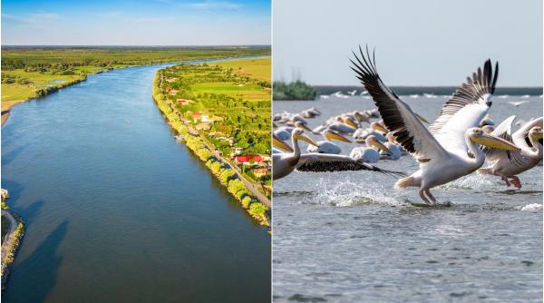 Spectacolul Deltei, în cel mai estic oraș al României: Sulina, locul în care Dunărea întâlnește Marea Neagră