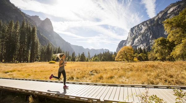 trump analizeaza in secret sa vanda o parte din parcul yosemite catre un dezvoltator imobiliar