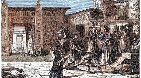 biblioteca din alexandria n a ars peste noapte adevarul e de a dreptul banal