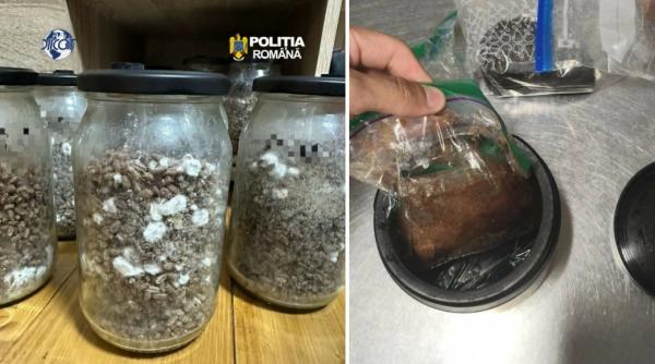 Descinderi la o grupare din Hunedoara, care vindea droguri, inclusiv Ayahuasca. Acestea urmau să fie folosite în ritualuri cu şamani