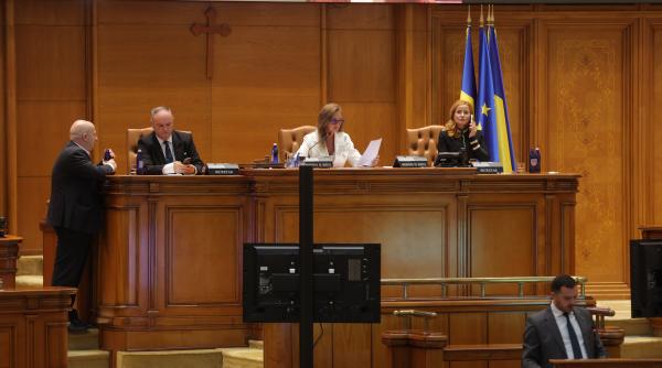 pnl si usr au iesit din prima sedinta de plen a camerei deputatilor si ameninta cu greva din cauza ca aur a primit o functie in plus