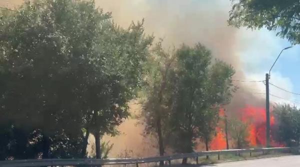 incendiu violent de vegetatie la intrarea in braila dinspre galati traficul pe dn22 b a fost deviat